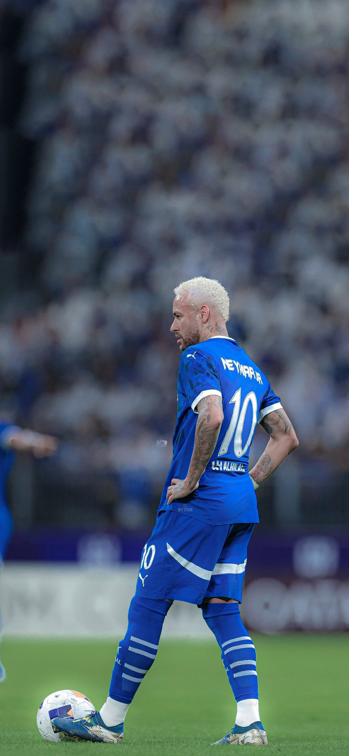 员树立了榜 员树立了榜